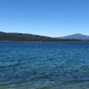 Meet your Posher, Dan